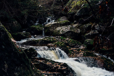 Scenic view of waterfall in forest