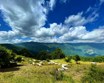Scenic view of landscape against sky