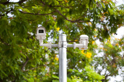 Low angle view of security camera against tree