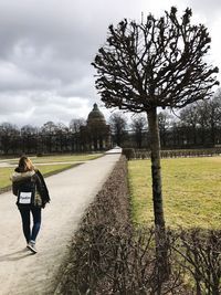 Full length rear view of man on tree against sky