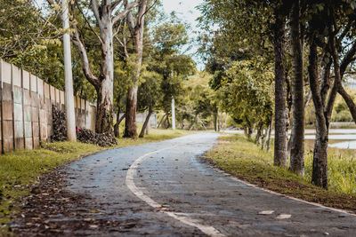 Empty road amidst trees in city