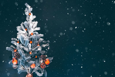 Illuminated christmas tree during winter at night