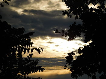 Silhouette of trees against cloudy sky