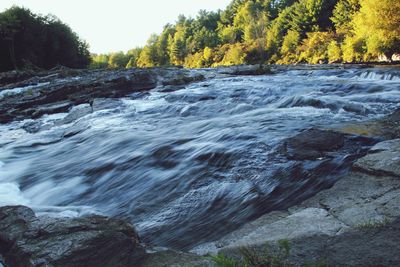 Scenic view of waterfall in forest