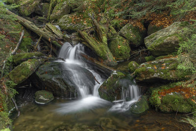 Scenic view of waterfall in forest