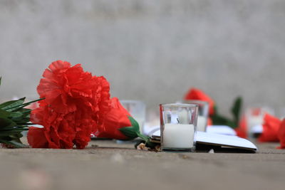 Close-up of red rose flower on table