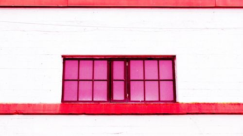Close-up of pink closed red wall
