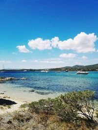 Scenic view of beach