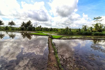 Scenic view of lake against sky