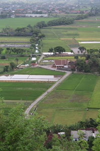High angle view of agricultural field