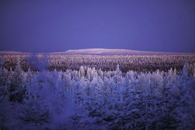 Scenic view of snow covered landscape