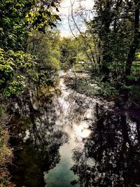 Full frame shot of trees against sky