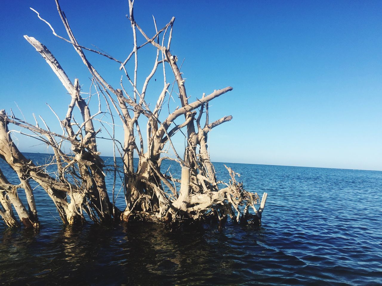 Florida coast