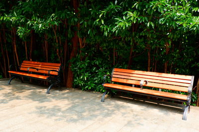 Empty bench in park