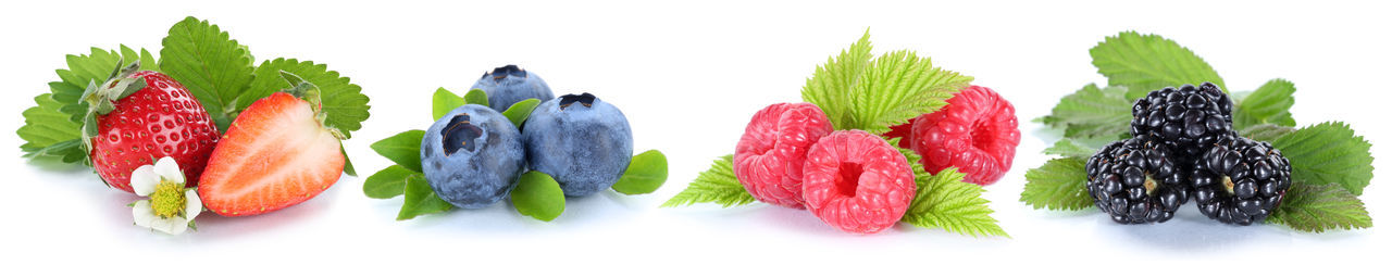 Close-up of multi colored candies against white background