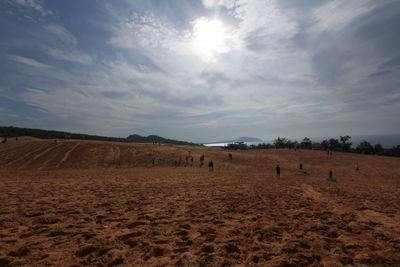 Scenic view of landscape against sky