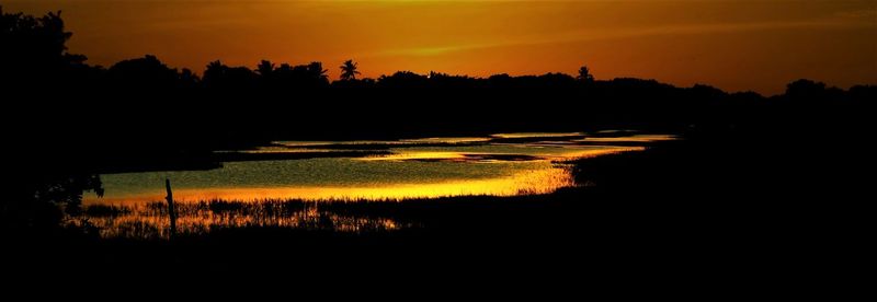 Silhouette trees on field against orange sky