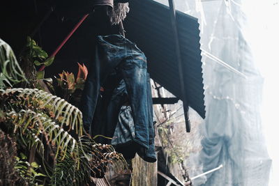 Low angle view of jeans hanging from roof