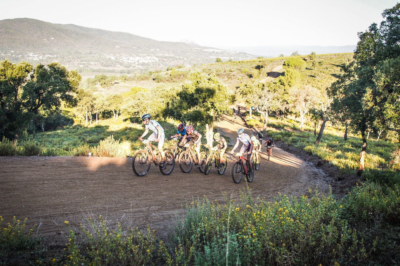 PEOPLE RIDING BICYCLE ON ROAD BY TREES