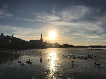 Swan swimming in lake against sky during sunset