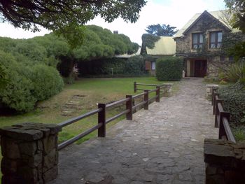 Footpath amidst trees