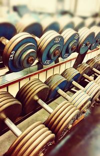 Close-up of food on ground