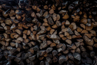 Full frame shot of logs in forest