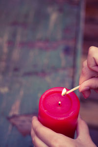 Close-up of hand holding red leaf