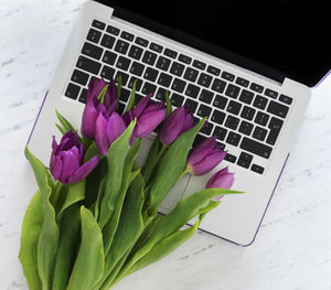 High angle view of purple flowers on table