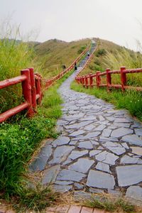 Footpath leading towards mountains against sky