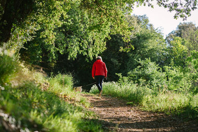 Rear view of woman with dog walking on footpath amidst plants in forest