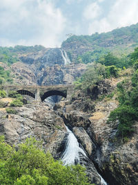 scenics - nature