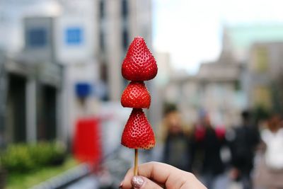 Close-up of hand holding red berries in city