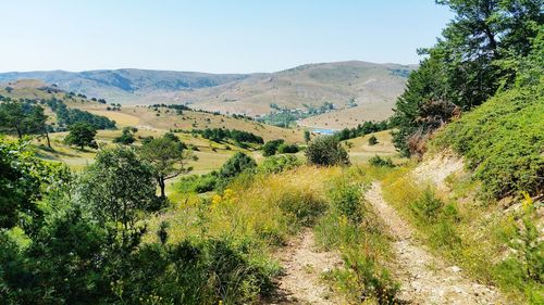 Scenic view of landscape