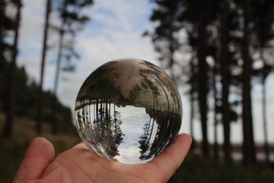 Close-up of hand holding crystal ball against trees