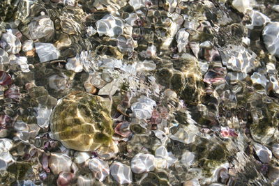 Full frame shot of water