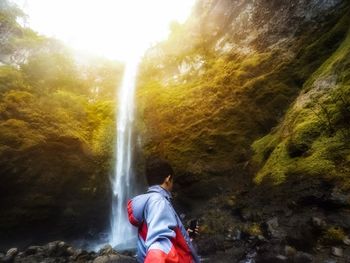 Scenic view of waterfall in forest