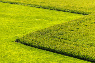 Scenic view of field