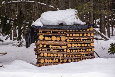 Stack of logs on snow covered field