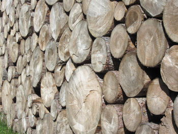 Full frame shot of logs in forest