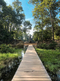 Wooden footbridge along trees in forest