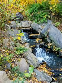 Stream flowing through rocks in forest