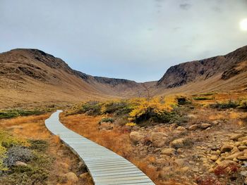 Pathway into the tablelands park arid landscape in western newfoundland 