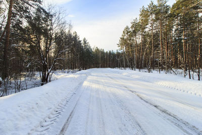 Snow covered road amidst trees against sky during winter