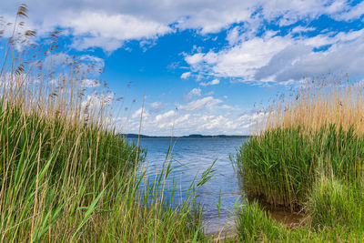 Scenic view of lake against sky