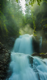 Scenic view of waterfall in forest