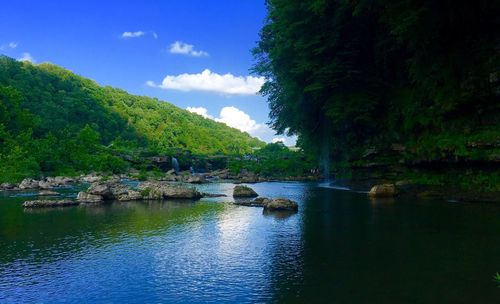 Scenic view of river in forest against sky