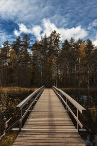 View of footbridge in forest