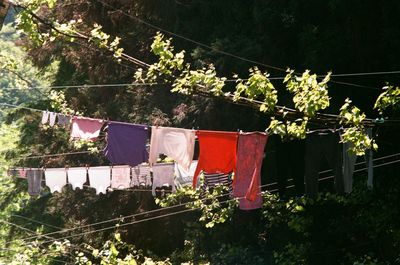 clothesline