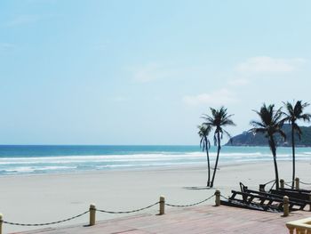 Palm trees on beach against sky